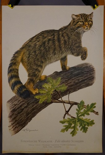 Landhausstil plakat poster - plakat,