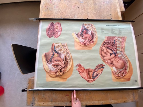 Rollplakat schul wandkarte - rollplakat,