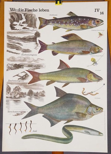 Poster lehrtafel plakat - lehrtafel,