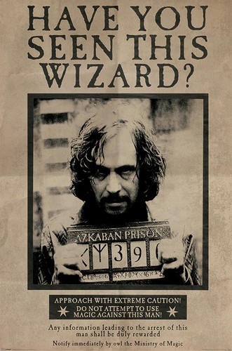 Poster harry poter sirius - poter,