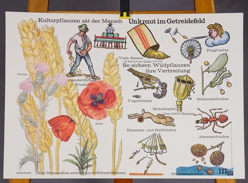 Poster lehrtafel plakat - poster,