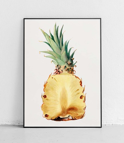 Ananas usda aquarell - aquarell, obst